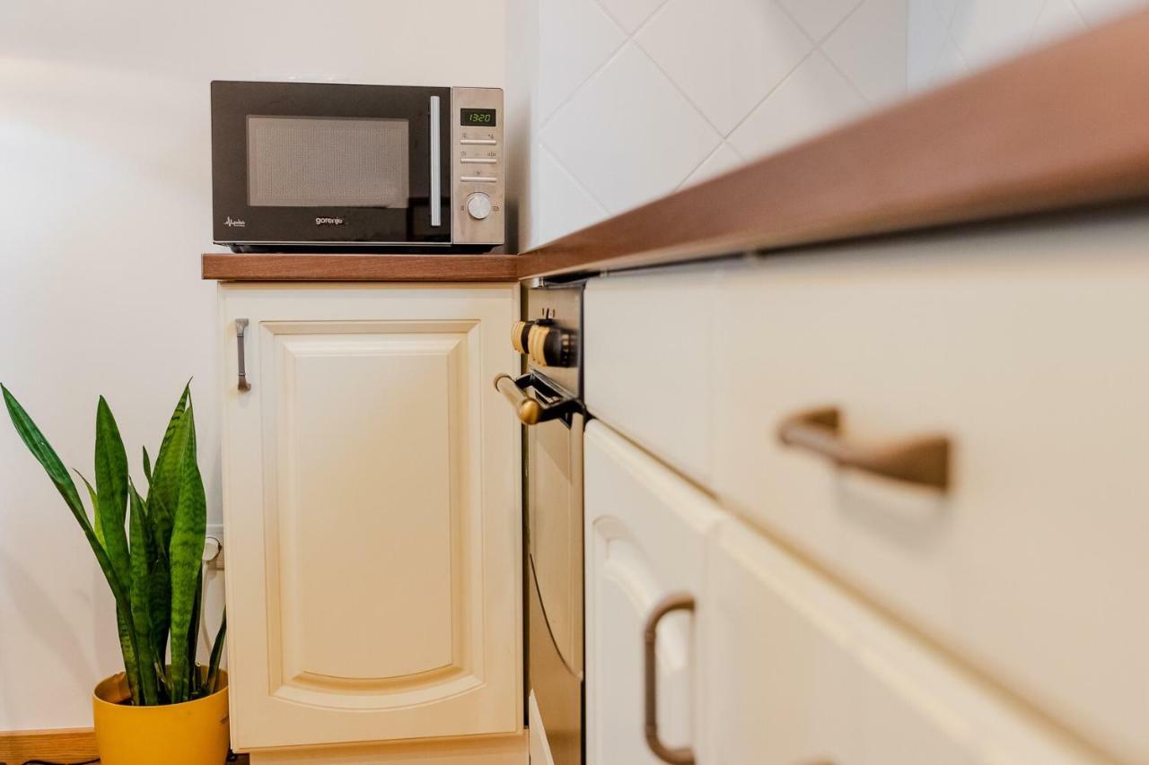 Ultracentral Apartment Cluj Napoca Bagian luar foto