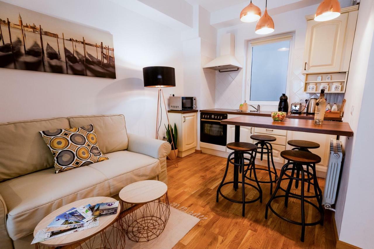 Ultracentral Apartment Cluj Napoca Bagian luar foto