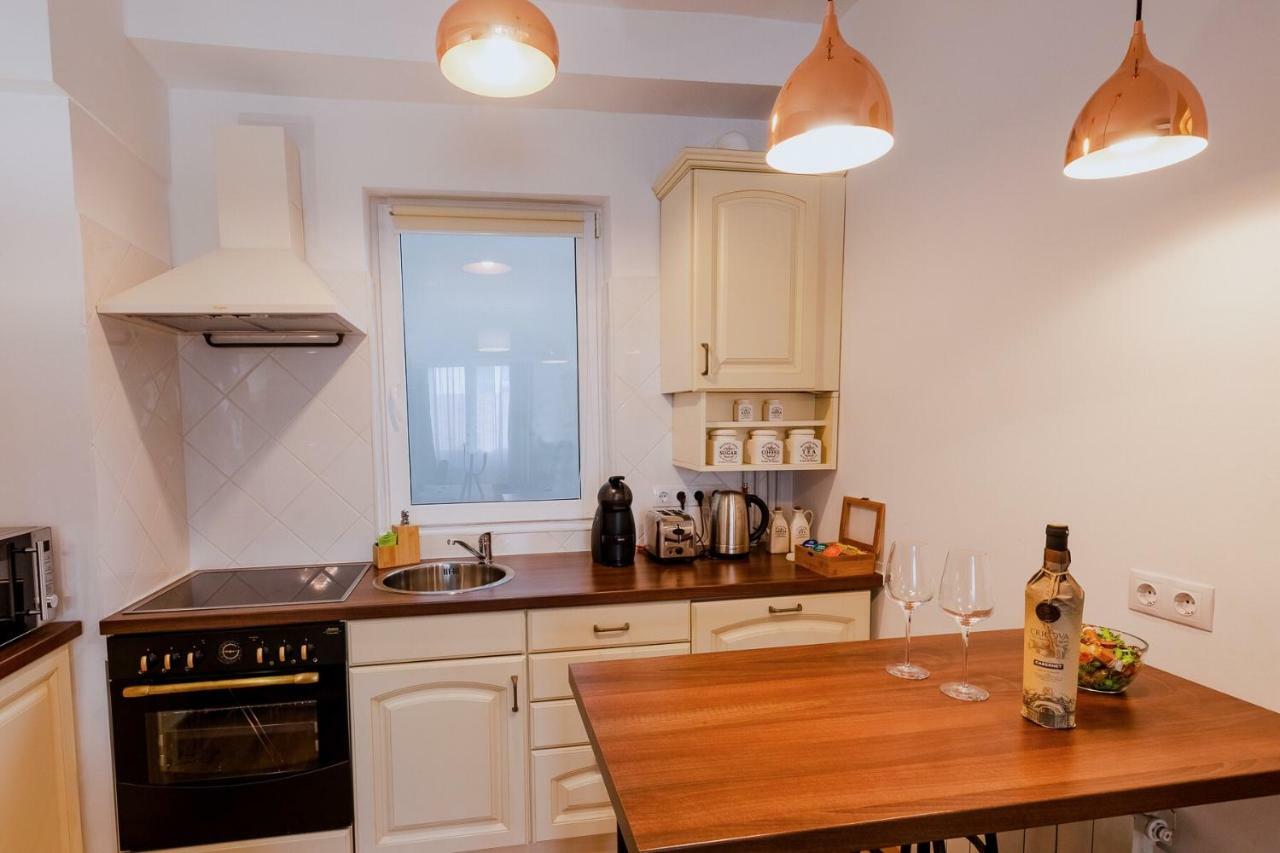 Ultracentral Apartment Cluj Napoca Bagian luar foto